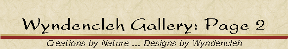 Wyndencleh Gallery: Page 2
