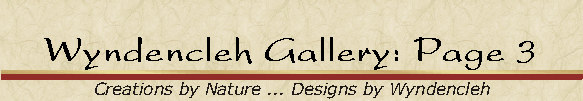 Wyndencleh Gallery: Page 3