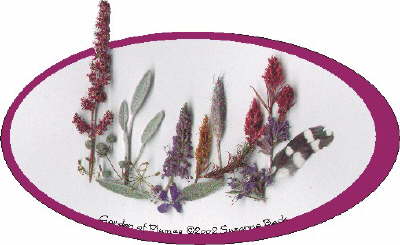 Garden of Plumes is a celebration of Nature�s �Plumes� - those showy, spikey flowers that add dimension to so many beautiful gardens. The red, tree-like form of an Astilbe blossom keeps watch over soft Sage, a bit of purple from Hyssop and Nana�s Bee Balm, and some Yellow and Red Celosia. The base is formed of Sage, Dill, Sweet Marjoram, and the tiny feather from a Downy Woodpecker.