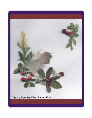 Gifts of September is a display of the color and variety of material in the September woods. Hawthorne Berries are starting to ripen, while the Ground Pine is displaying its yellow plumes. The tiny red berries of the Small Cranberry sit among some TeaBerry and Wild Blueberry leaves.  A downy feather from a Red-Tailed Hawk waves above the Queen Anne�s Lace, still blooming into the fall. 