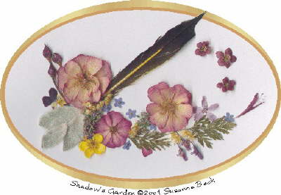 This collection was gathered from Shadow's Garden. It features a feather dropped by one of the Northern Flickers who love to forage in the walkways.  Three Carpet Roses are supported by a base of leaves of Dutchman's Britches. Tiny but brilliant lavender Alpine Lunaria look down from a soft yellow cluster of Stonecrop Sedum. The 'face' of one of the Johnny-Jump-Ups peeks from behind fuzzy Lamb's Ear, next to the Chive Blossoms. A single sprig of Bee Balm looks to the sky, under a semi-circle of Saxifragia and Creeping Phlox A stray wild Buttercup sits under a sprig of Mother-of-Thyme. And Forget-Me-Nots, which are sprinkled throughout the garden, are symbolically sprinkled throughout the arrangement.