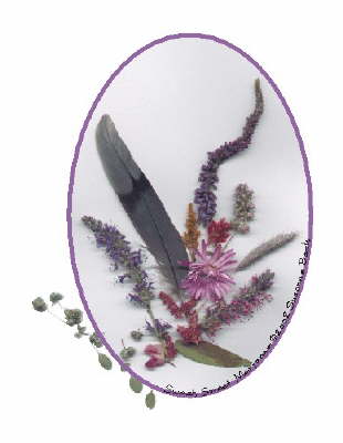 Sweet Marjoram grows enthusiastically in my herb garden, and also tumbles enthusiastically out of this arrangement!  A spiraling plume of Nana�s Bee Balm towers over the grey-blue of a BlueJay feather, while blue and pink plumes of Hyssop, yellow Celosia, red Astilbe, and purple Creeping Thyme all circle around a central purple Xeranthemum. 