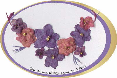 Although I�ve never tried growing African Violets, they are a common sight in the windowsills of many Nova Scotian homes. I�ve added a couple of sprigs of Bee Balm and a bit of Cynthia�s blue Thistle to this collection of my mother�s African Violet blossoms.  