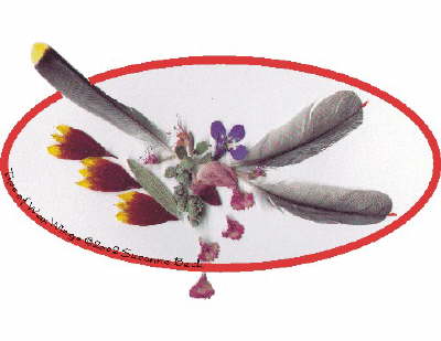 Many birds have remarkable plumage, but few are as special as the Cedar WaxWing. Tiny tips of the wing feathers are a true, brilliant crimson, while  a sharply defined yellow tip ornaments a tail feather. More of nature�s �tips� are found in the yellow and crimson Gaillardia petals, clustered near a single pink Lupin blossom, bits of Sage and  Sweet Marjoram, and a blue-tipped Lobelia, while  intricately patterned Sweet William cascades from Tips of WaxWings.  