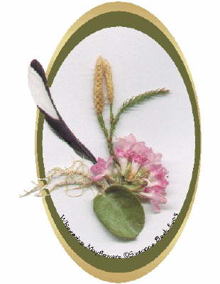 A clutch of spring Mayflowers rest serenely above a Mayflower leaf, where they have a wisp of Old Man�s Beard and a sprig of Ground Pine for company. The feather of a Yellow-Rumped Warbler displays some of the natural artistry that we seldom see in its unusual black and white markings. 