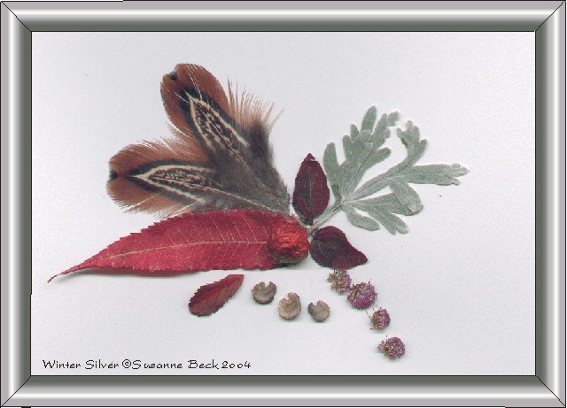 The metallic silver of Beach Wormwood glistens above a sharply-pointed brilliant red Sumac leaf.  Twin leaves of Oregano, burgundy in winter, and twin feathers from a Ring-Necked Pheasant, surround a central Rose Hip.  A trio of intricately curled Hollyhock seeds cradle the arrangement, which trails petite, puffy, purple Ageratum blossoms.